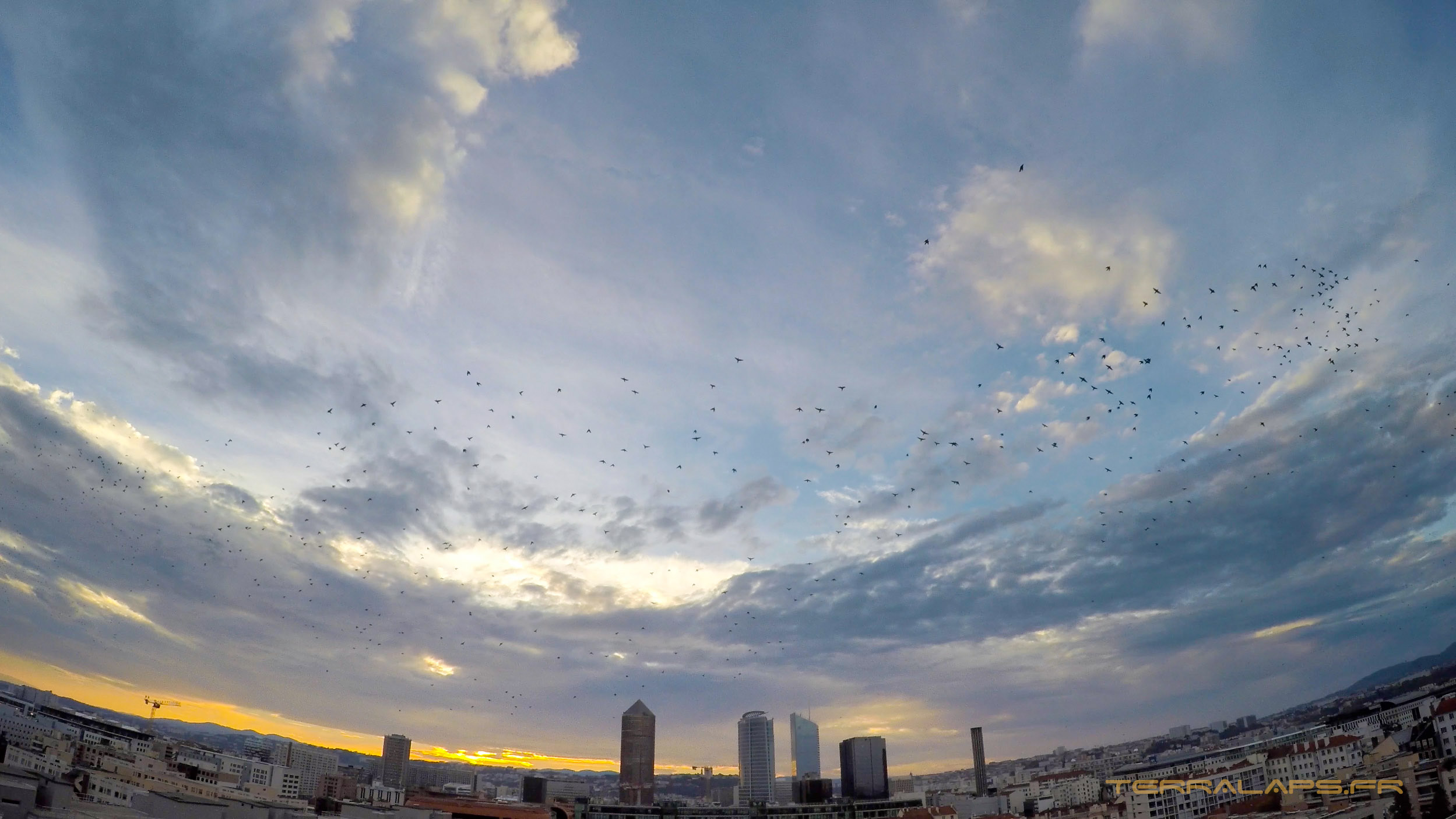 Fond d'écran Coucher de Soleil sur Lyon - Oiseaux 2018 - Terralaps.fr Fond d'écran Coucher de Soleil sur Lyon - Oiseaux 2018 - Terralaps.fr